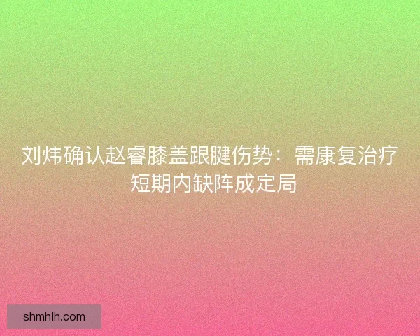 刘炜确认赵睿膝盖跟腱伤势：需康复治疗 短期内缺阵成定局